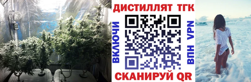Дистиллят ТГК жижа  закладки  Андреаполь 