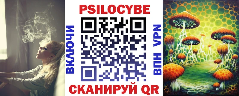 магазин продажи   Андреаполь  Галлюциногенные грибы Magic Shrooms 